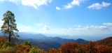 BR panoramic